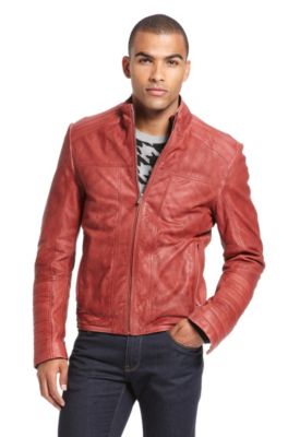 'Larkus' | Stand Collar Leather Jacket