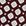 Medium Red