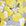 Bright Yellow