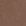 Bruin